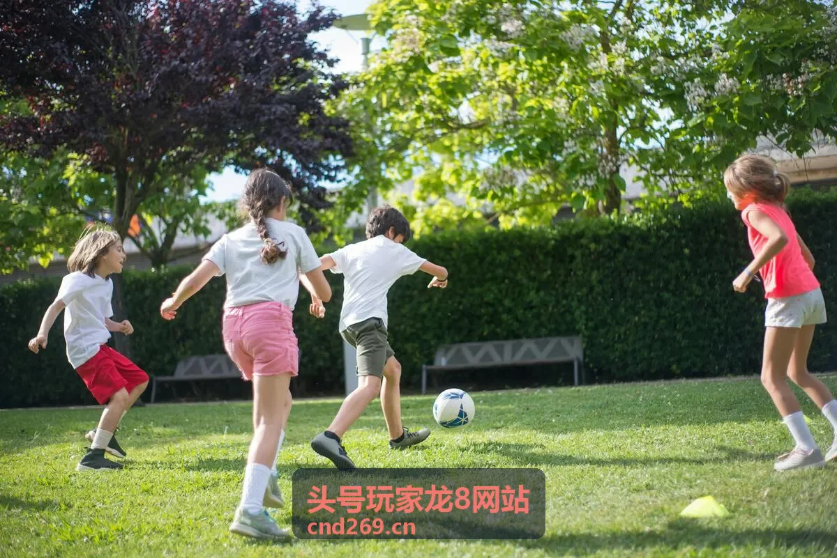头号玩家龙8网站赛事报名背景图